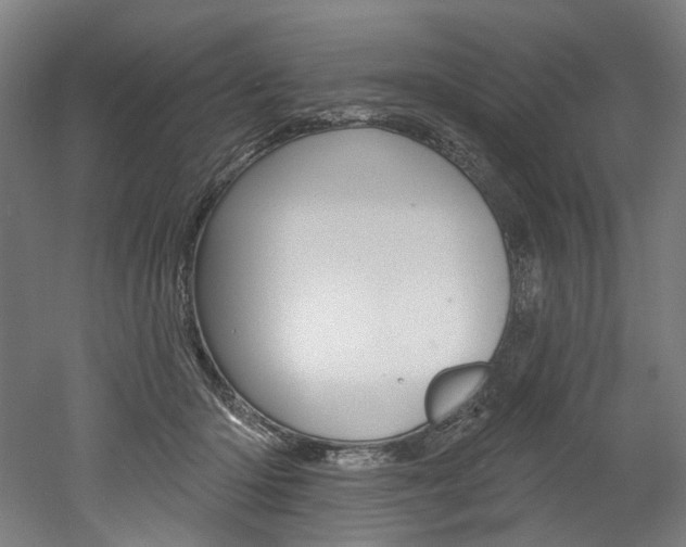 X0000052590414200507010944