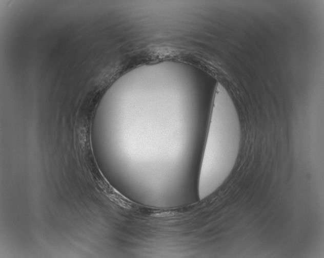 X0000052590417200507010944