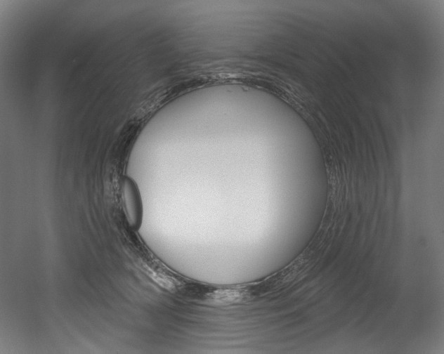 X0000052590418200507010944