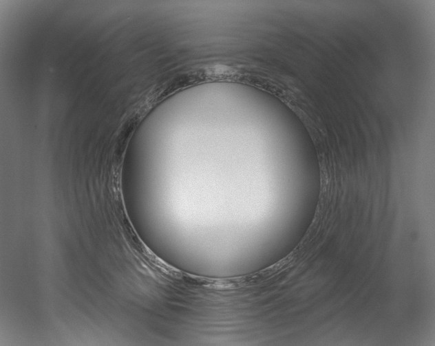 X0000052590419200507010944