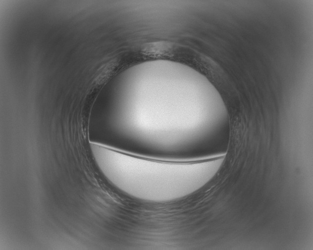 X0000052590420200507010944