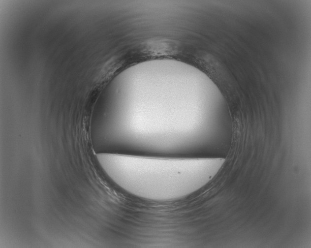 X0000052590422200507010944