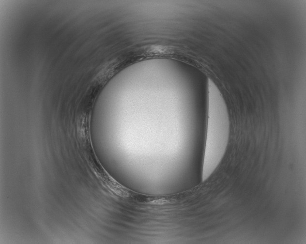 X0000052590423200507010944