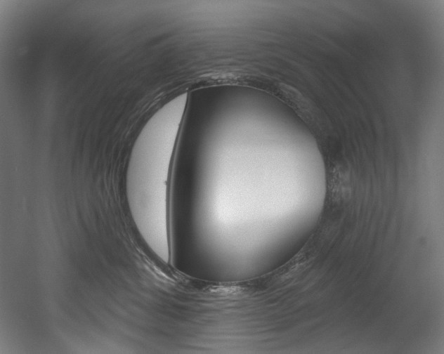 X0000052590428200507010944