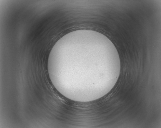 X0000052590431200507010944