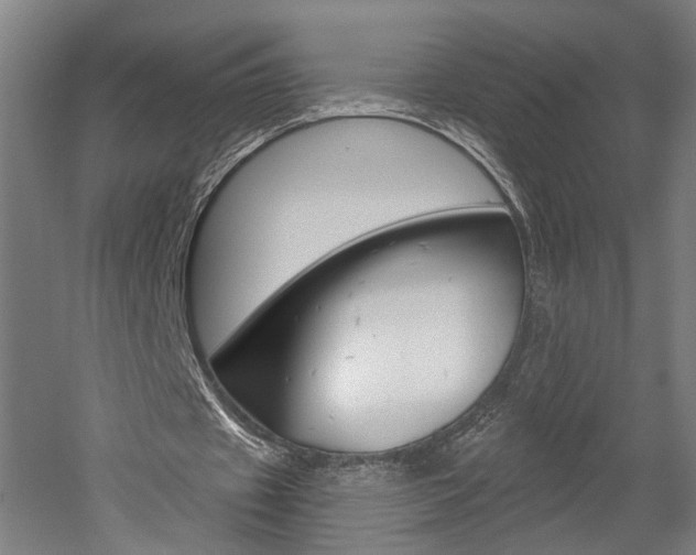 X0000052590433200507010943