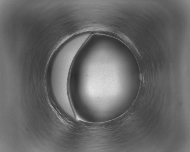 X0000052590436200507010943