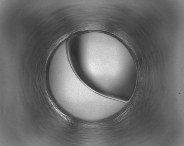 X0000052590437200507010943