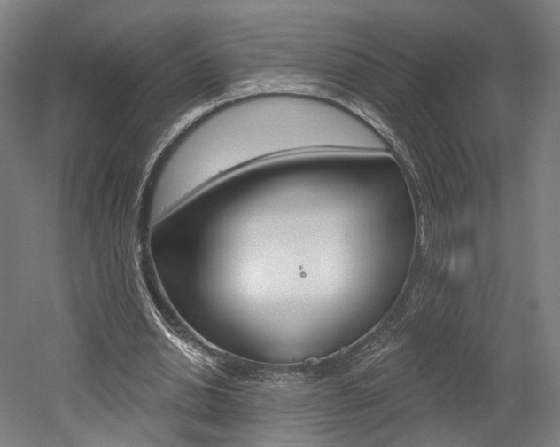 X0000052590438200507010943