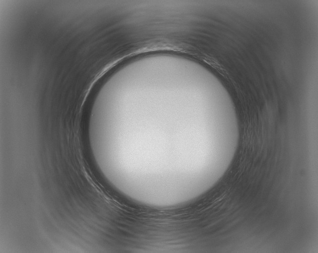 X0000052590440200507010943