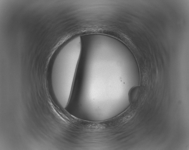 X0000052590443200507010944
