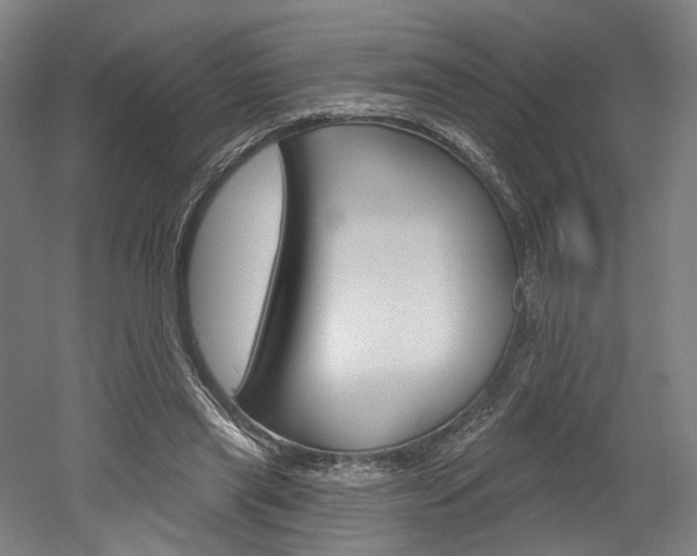 X0000052590445200507010944
