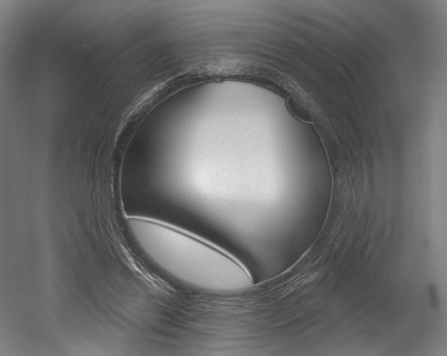 X0000052590446200507010944