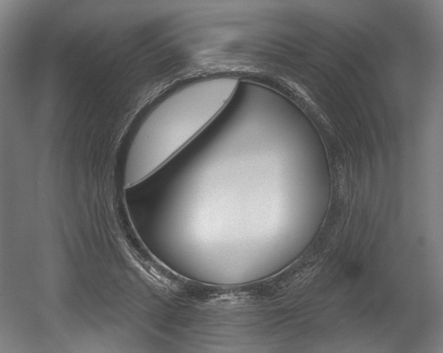 X0000052590447200507010944