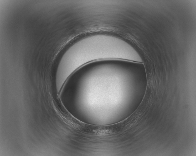 X0000052590448200507010944