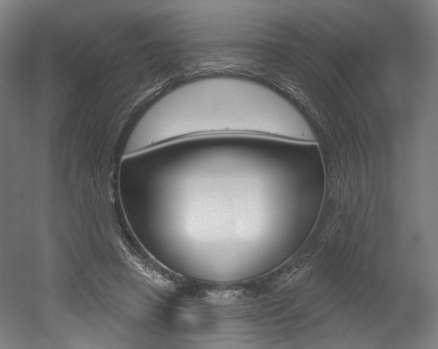 X0000052590450200507010944