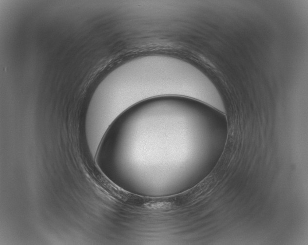 X0000052590452200507010944
