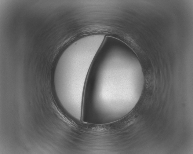 X0000052590454200507010944