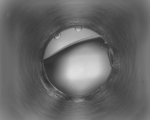 X0000052590456200507010944