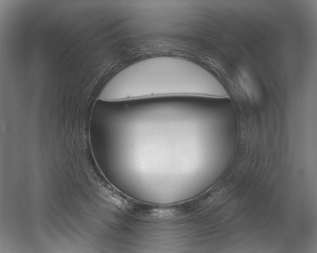 X0000052590457200507010944