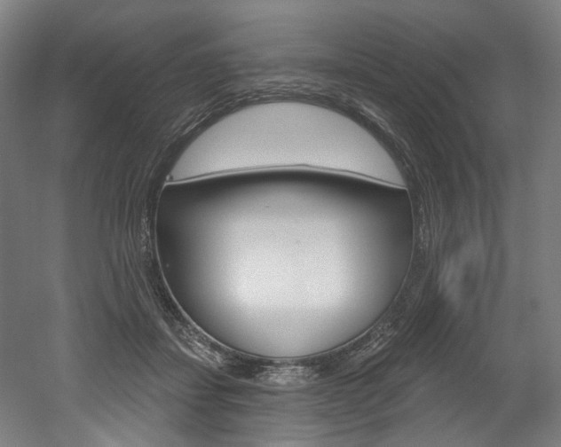 X0000052590459200507010944