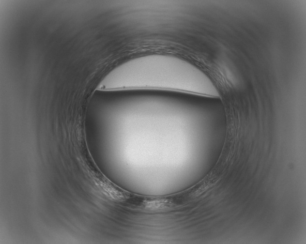 X0000052590461200507010944