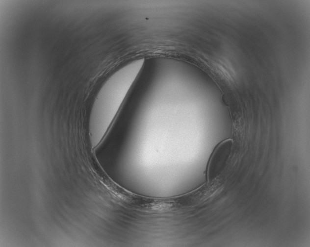 X0000052590462200507010944