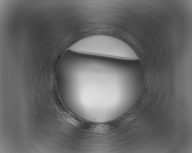 X0000052590463200507010944