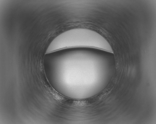 X0000052590469200507010944