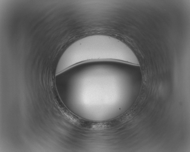 X0000052590470200507010944