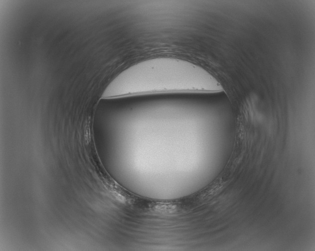 X0000052590471200507010944