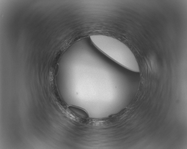 X0000052590472200507010944