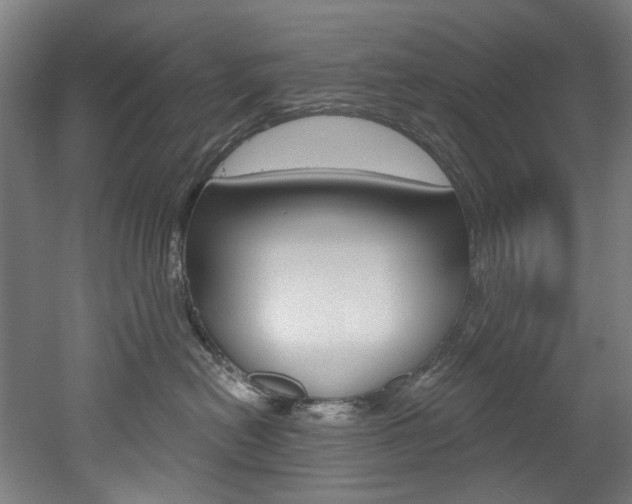 X0000052590478200507010944