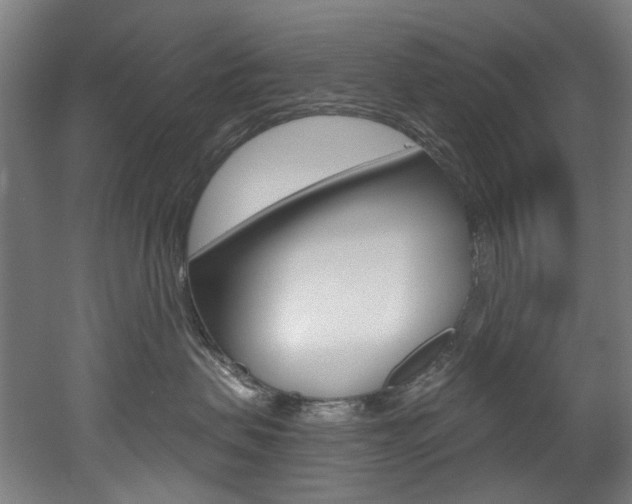 X0000052590479200507010944