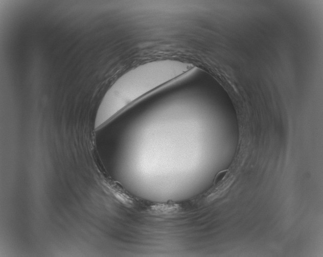 X0000052590480200507010944