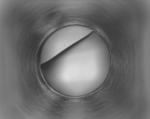 X0000052590482200507010943