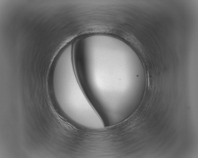 X0000052590483200507010943