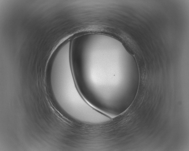 X0000052590484200507010943