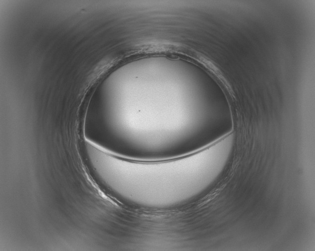 X0000052590485200507010943