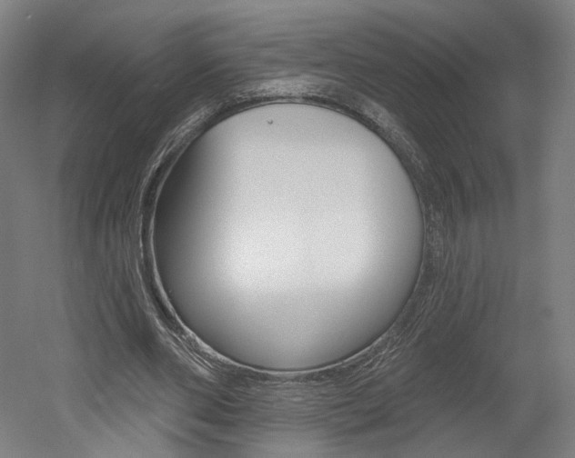 X0000052590486200507010943