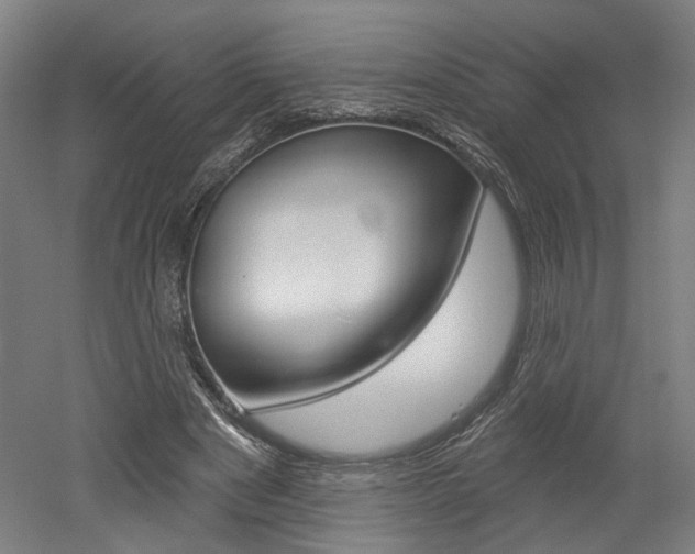 X0000052590489200507010943