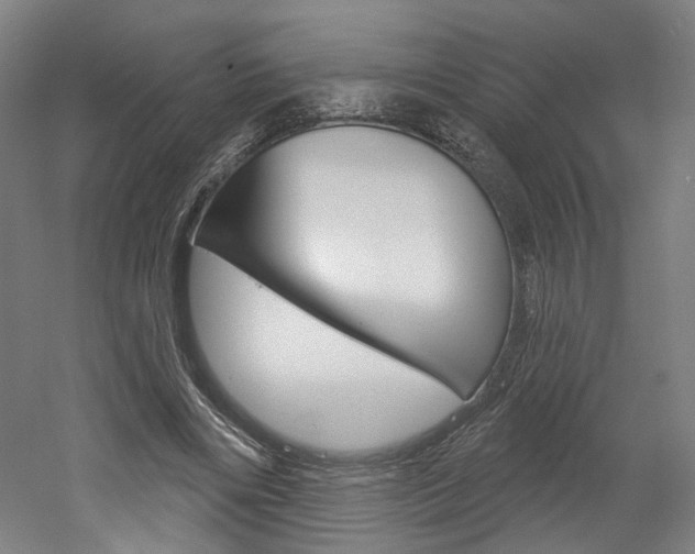 X0000052590490200507010943
