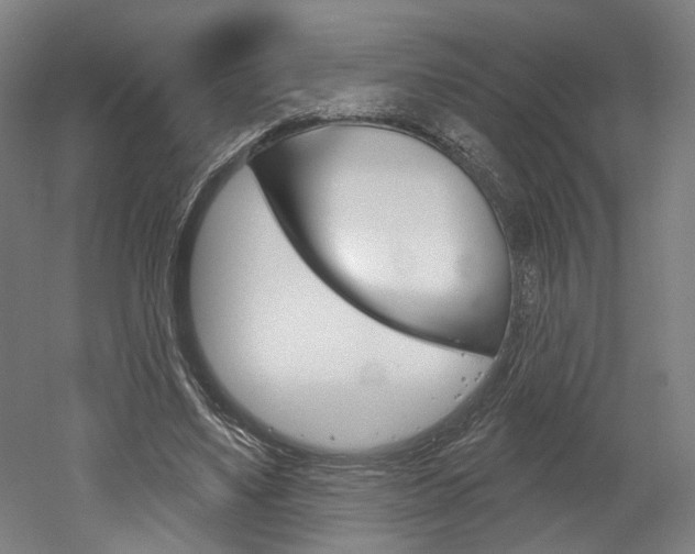 X0000052590491200507010943