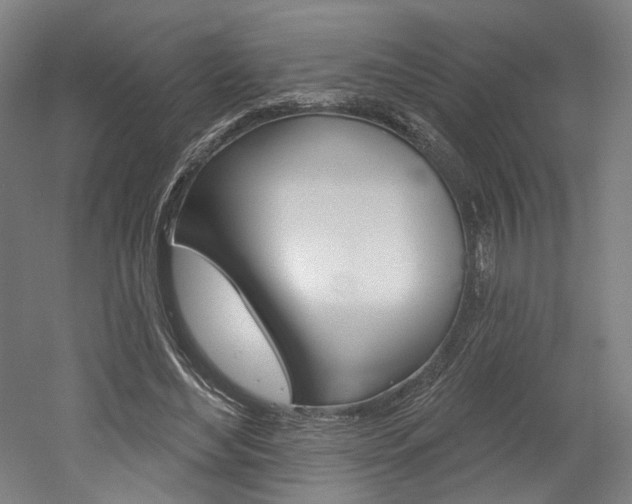 X0000052590492200507010943