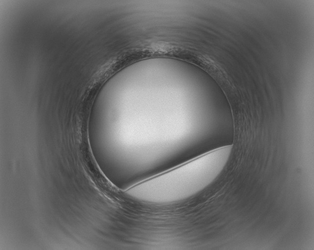 X0000052590496200507010943