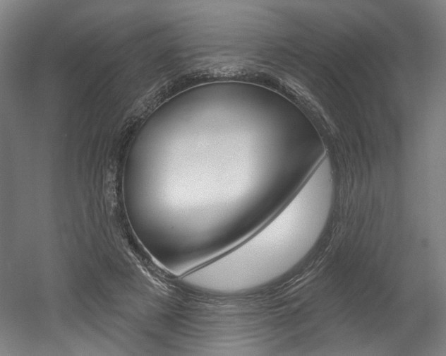 X0000052590497200507010943
