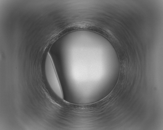 X0000052590500200507010943