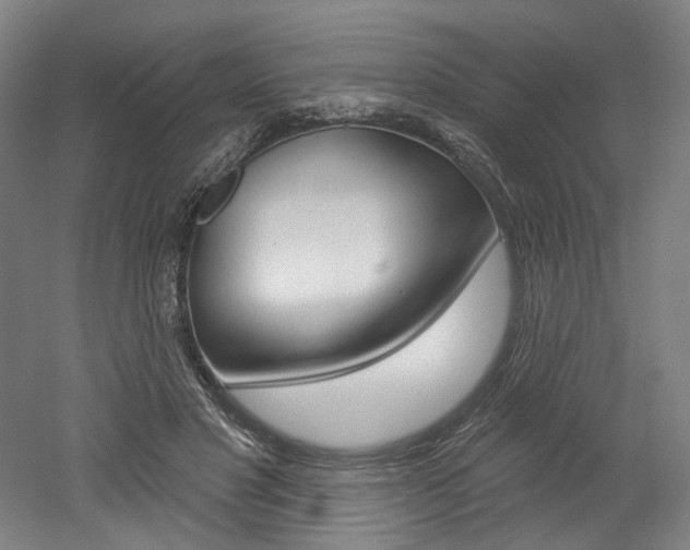 X0000052590501200507010943