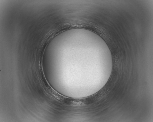 X0000052590502200507010943