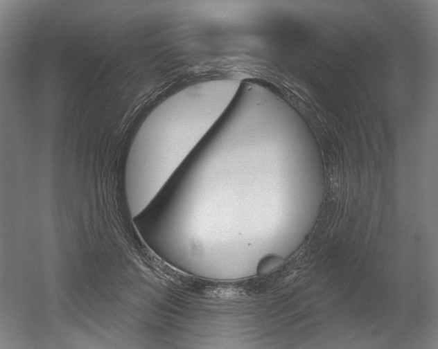 X0000052590503200507010943